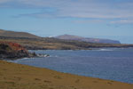 2012-11-10_15-49-44_DSC_7588.jpg
