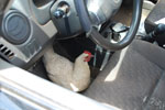 2012-11-11_13-51-02_DSC_7607.jpg