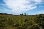 2012-11-11_14-05-25_DSC_7608.jpg