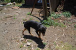 2012-11-11_14-55-14_DSC_7624.jpg