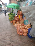 2012-11-13_15-27-31_IMGP0509.jpg