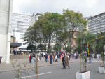 2012-11-13_15-36-12_IMGP0523.jpg