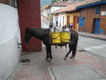 2012-11-13_17-03-30_IMGP0539.jpg