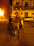 2012-11-16_23-46-27_IMGP0767.jpg