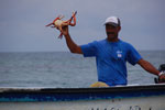 2012-11-18_12-12-06_DSC_7822.jpg