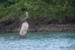 2012-11-18_12-13-33_DSC_7827.jpg