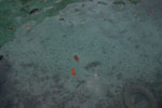 2012-11-18_12-17-30_DSC_7830.jpg