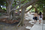 2012-11-18_14-01-34_DSC_7863.jpg