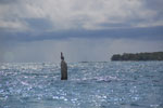 2012-11-18_14-11-53_DSC_7870.jpg
