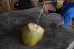 2012-11-18_14-46-09_DSC_7932.jpg