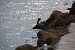 2012-11-18_14-55-51_DSC_7933.jpg