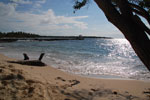 2012-11-18_15-15-37_DSC_7940.jpg