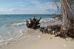 2012-11-18_15-46-57_DSC_7948.jpg
