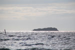 2012-11-18_16-01-49_DSC_7987.jpg