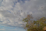2012-11-18_16-42-04_DSC_8012.jpg