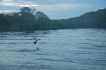 2012-11-18_17-29-52_DSC_8253.jpg