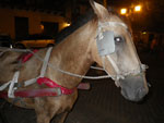 2012-11-18_23-11-04_IMGP0822.jpg