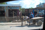 2012-11-20_13-16-07_DSC_8369.jpg
