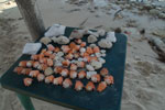 2012-11-20_14-25-50_DSC_8396.jpg