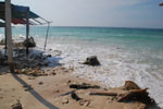 2012-11-20_14-26-03_DSC_8397.jpg
