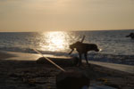 2012-11-20_16-50-41_DSC_8434.jpg