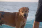 2012-11-20_16-50-53_DSC_8438.jpg