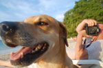 2012-11-20_16-52-54_DSC_8460.jpg