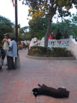 2012-11-23_17-29-58_IMGP1043.jpg