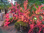 2012-11-23_17-30-16_IMGP1044.jpg