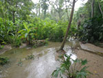 2012-11-25_12-29-00_IMGP1143.jpg