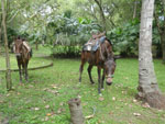 2012-11-25_12-30-28_IMGP1145.jpg