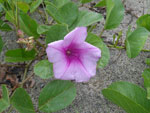2012-11-25_12-43-24_IMGP1153.jpg