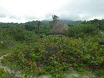 2012-11-25_12-51-42_IMGP1170.jpg