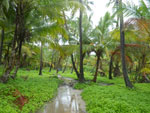 2012-11-25_14-44-24_IMGP1290.jpg