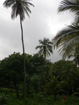 2012-11-25_14-52-49_IMGP1294.jpg