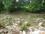 2012-11-26_14-36-47_IMGP1487.jpg