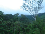 2012-11-27_05-57-25_IMGP1578.jpg