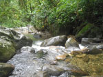 2012-11-27_08-04-33_IMGP1608.jpg