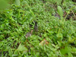 2012-11-27_08-20-32_IMGP1624.jpg