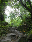 2012-11-27_08-32-58_IMGP1636.jpg