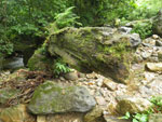 2012-11-27_08-35-10_IMGP1643.jpg