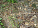 2012-11-27_08-35-19_IMGP1644.jpg