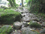 2012-11-27_09-47-24_IMGP1657.jpg