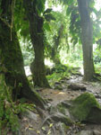 2012-11-27_09-47-35_IMGP1658.jpg