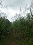 2012-11-27_10-41-45_IMGP1679.jpg