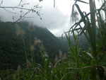 2012-11-27_10-42-27_IMGP1681.jpg