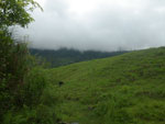2012-11-27_11-54-28_IMGP1698.jpg