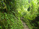 2012-11-27_12-45-12_IMGP1708.jpg
