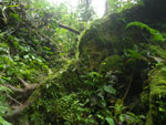 2012-11-27_12-45-54_IMGP1710.jpg
