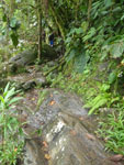 2012-11-27_13-01-57_IMGP1724.jpg